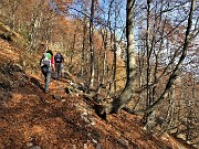 19 Tappeto di foglie sul sentiero in decisa salita